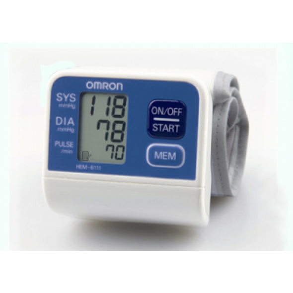 Máy đo huyết áp HEM-6111